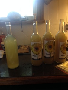 Our local winery gave us these labels that they had sitting around. The photo is of a daisy, and these belong to some wine company that I am not affiliated with in any way, but they look nice. 